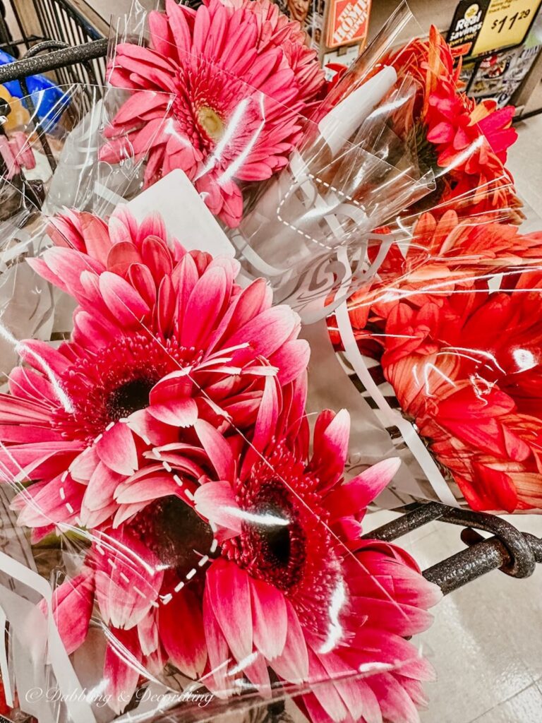 Gerbera Daisies