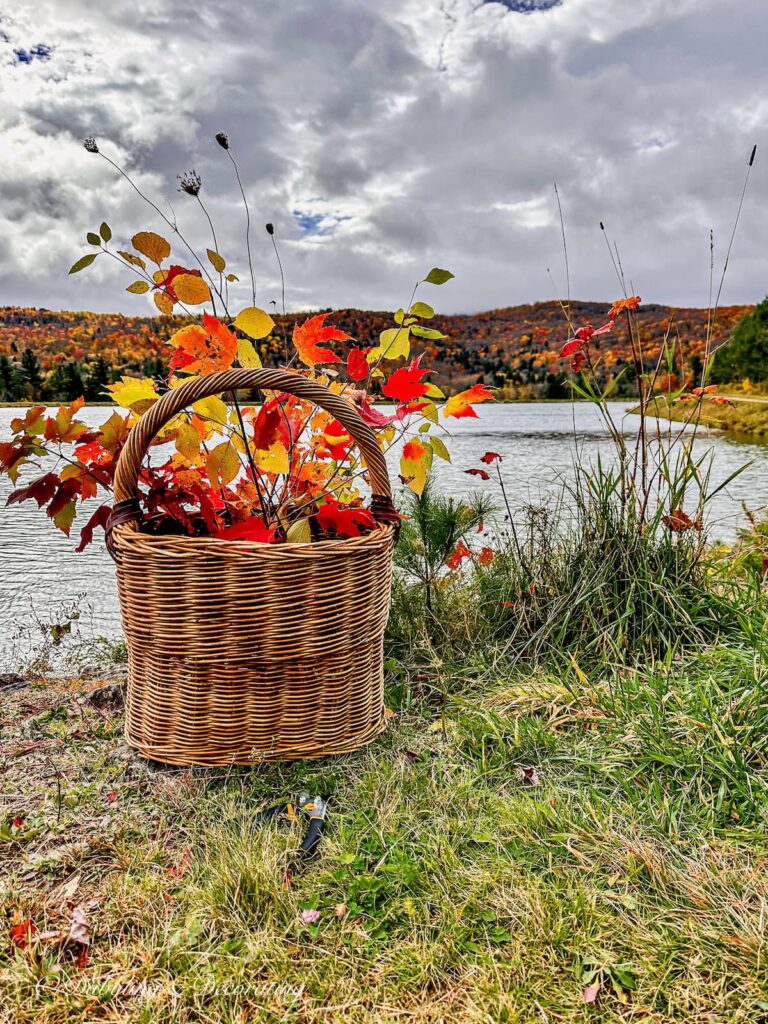 Forage Basket Arrangements with colorful leaves outdoors.