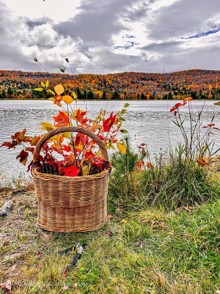 Basket of Fall Foliage in the Mountains