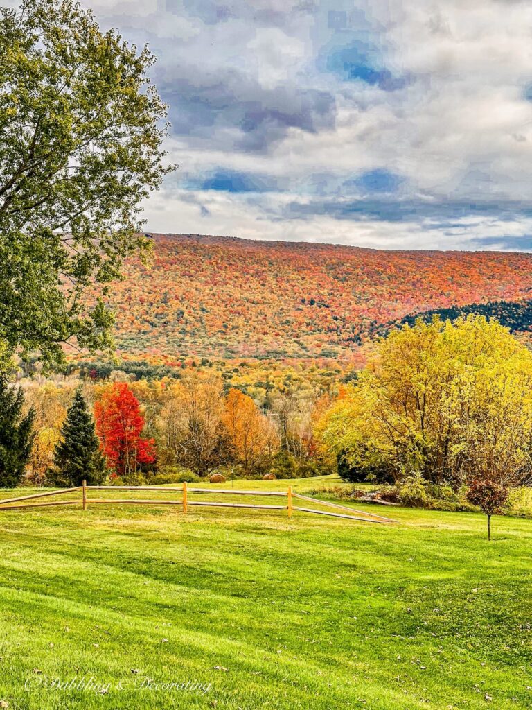 Fall Foliage in the Mountains