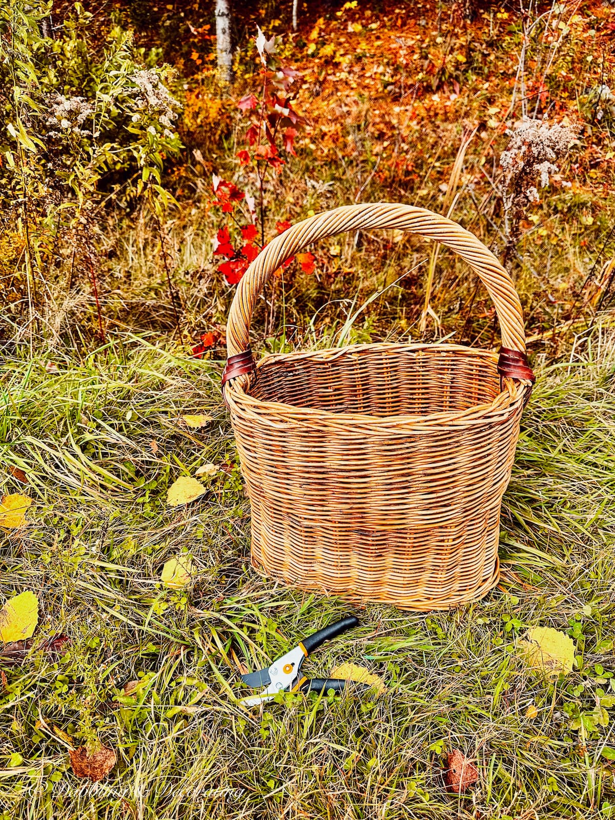 6 Forage Basket Arrangements For The Off-Season