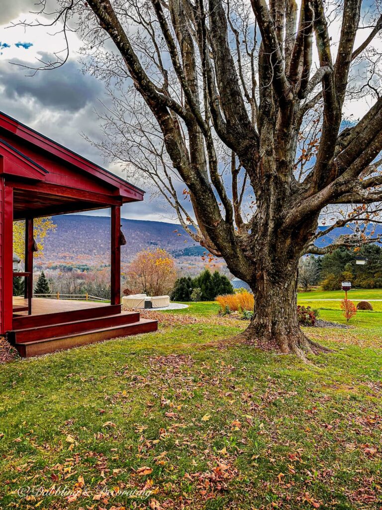 Bare Tree Next to Porch, Mountain Views in November, Vermont's stick season.