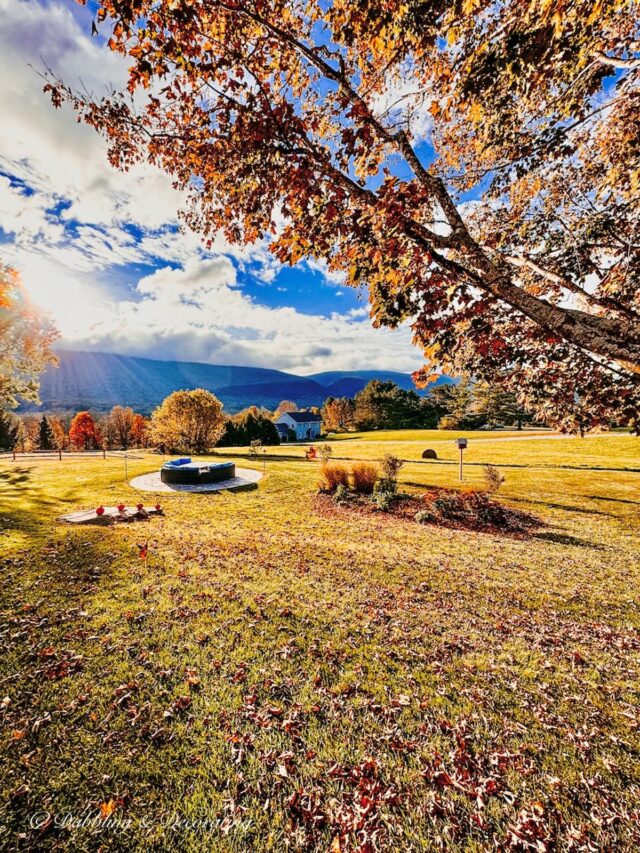 Fall Foliage Mountain Views with backyard living space.
