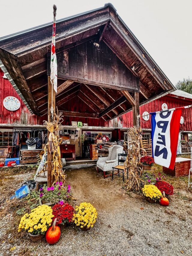 Best Barn Finds in a Big Red Barn on a Sunday Foliage Drive