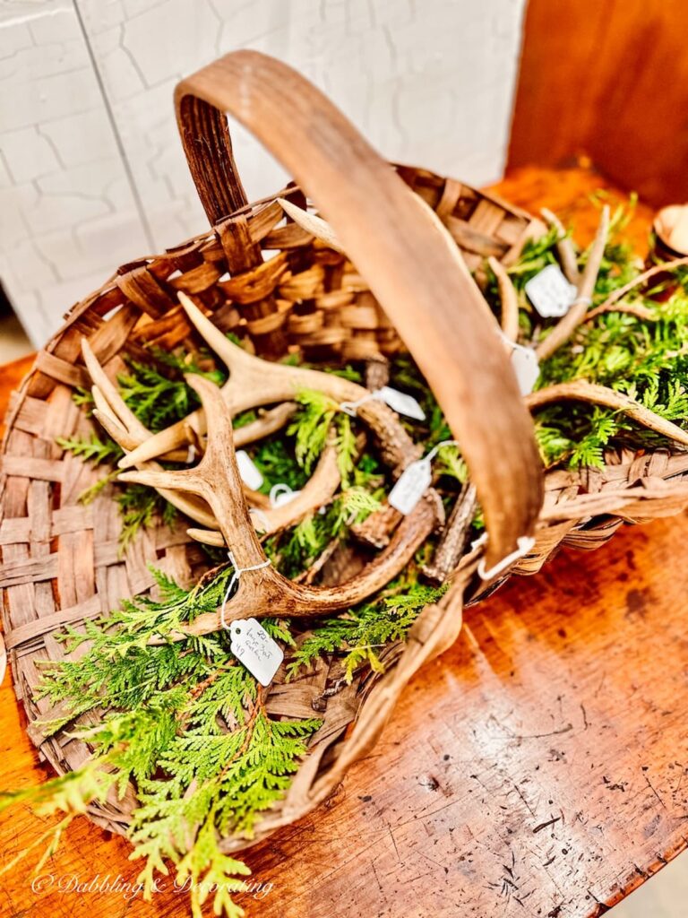 Basket Full of Antlers