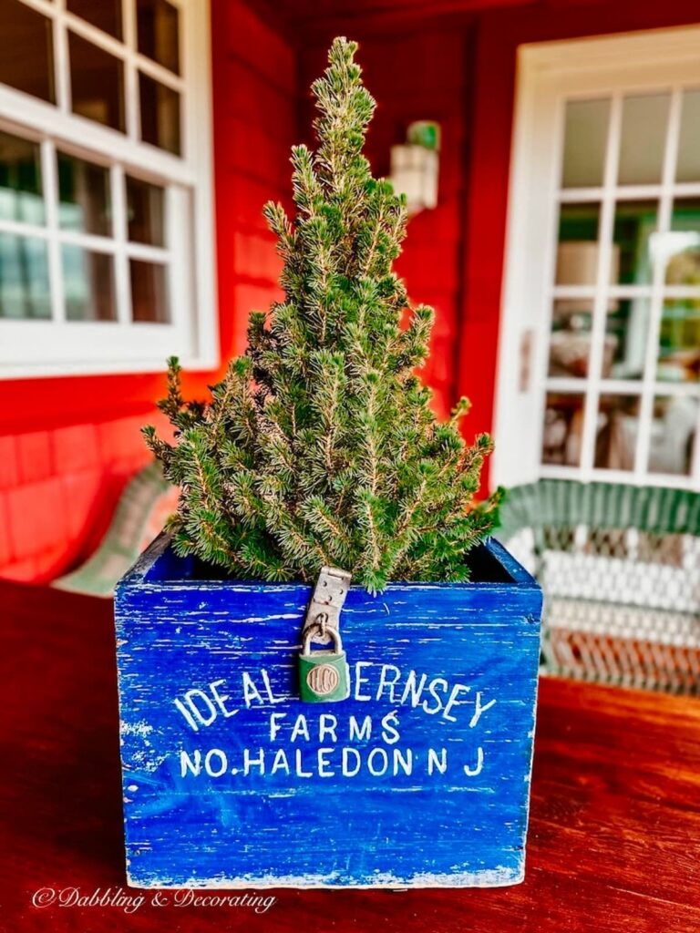Small Christmas Tree in Blue Crate