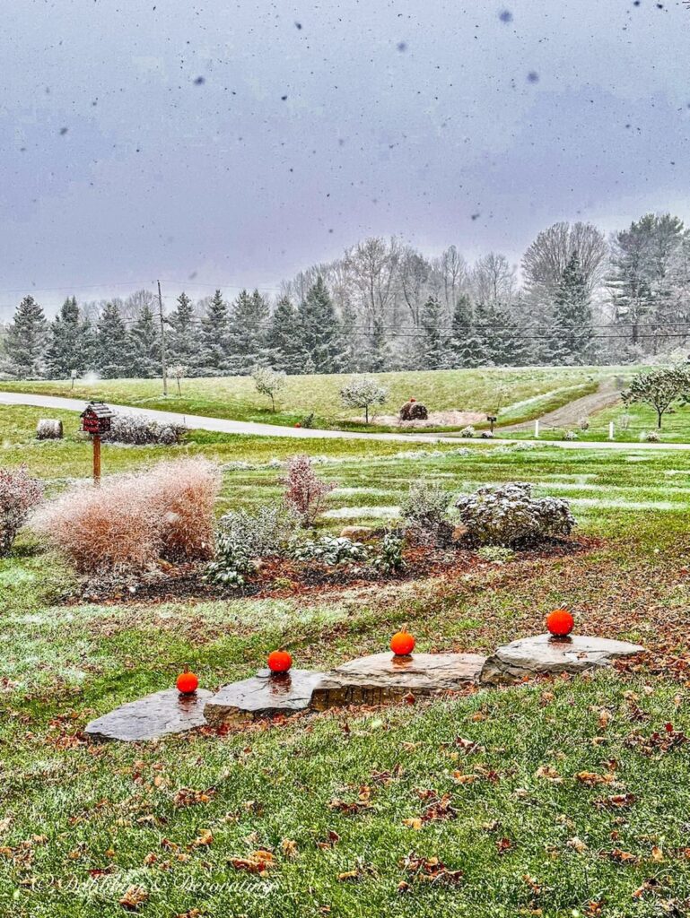 Winter Scenery with Pumpkins on November or in November, which is it when it's stick season in Vermont.