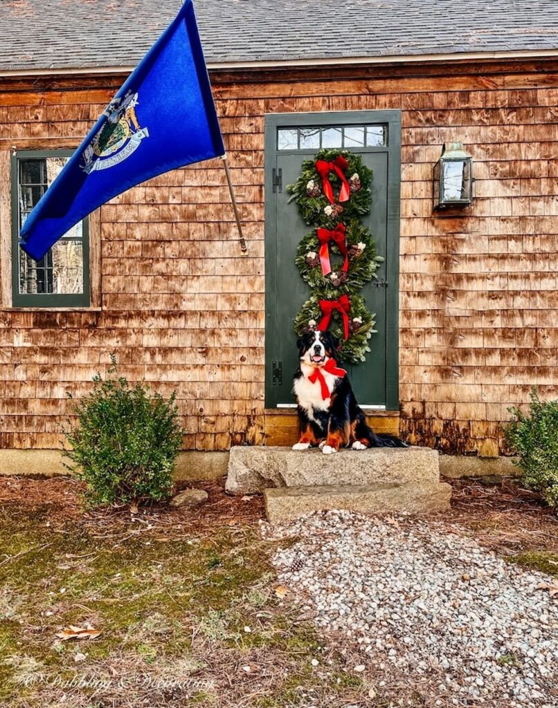 1930s front door with wreaths and Berner Dog