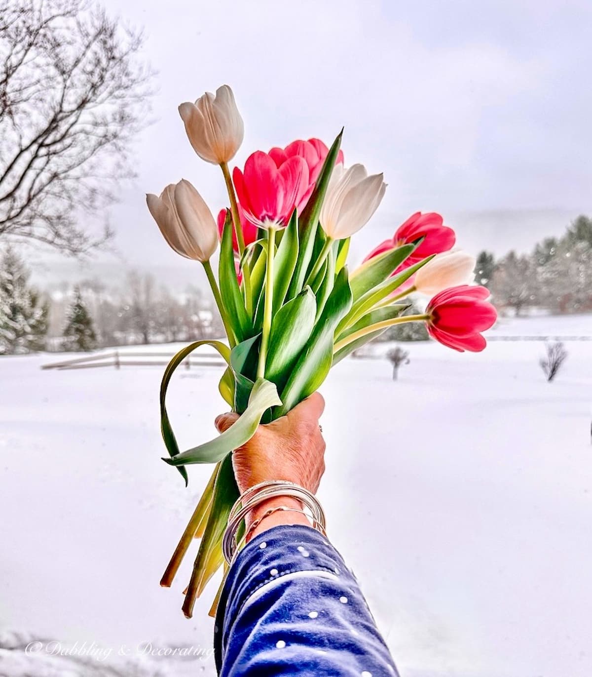 17 Tulips Arrangements for Spring