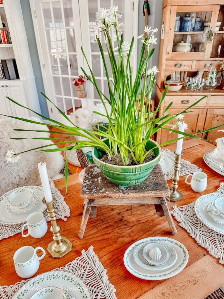 Vintage finds:  Step stool with green bowl with paperwhite on table.