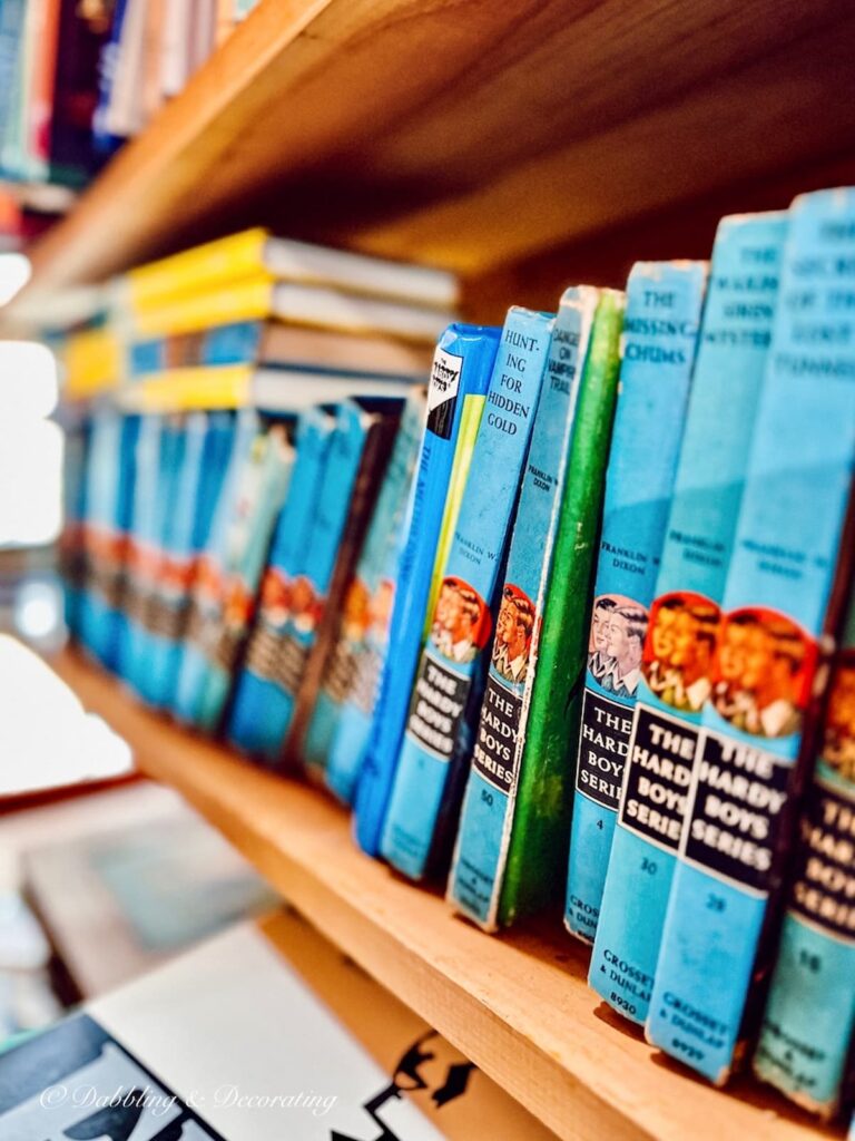 Colorful vintage books in blue, Hardy Brothers books on shelf in decor.