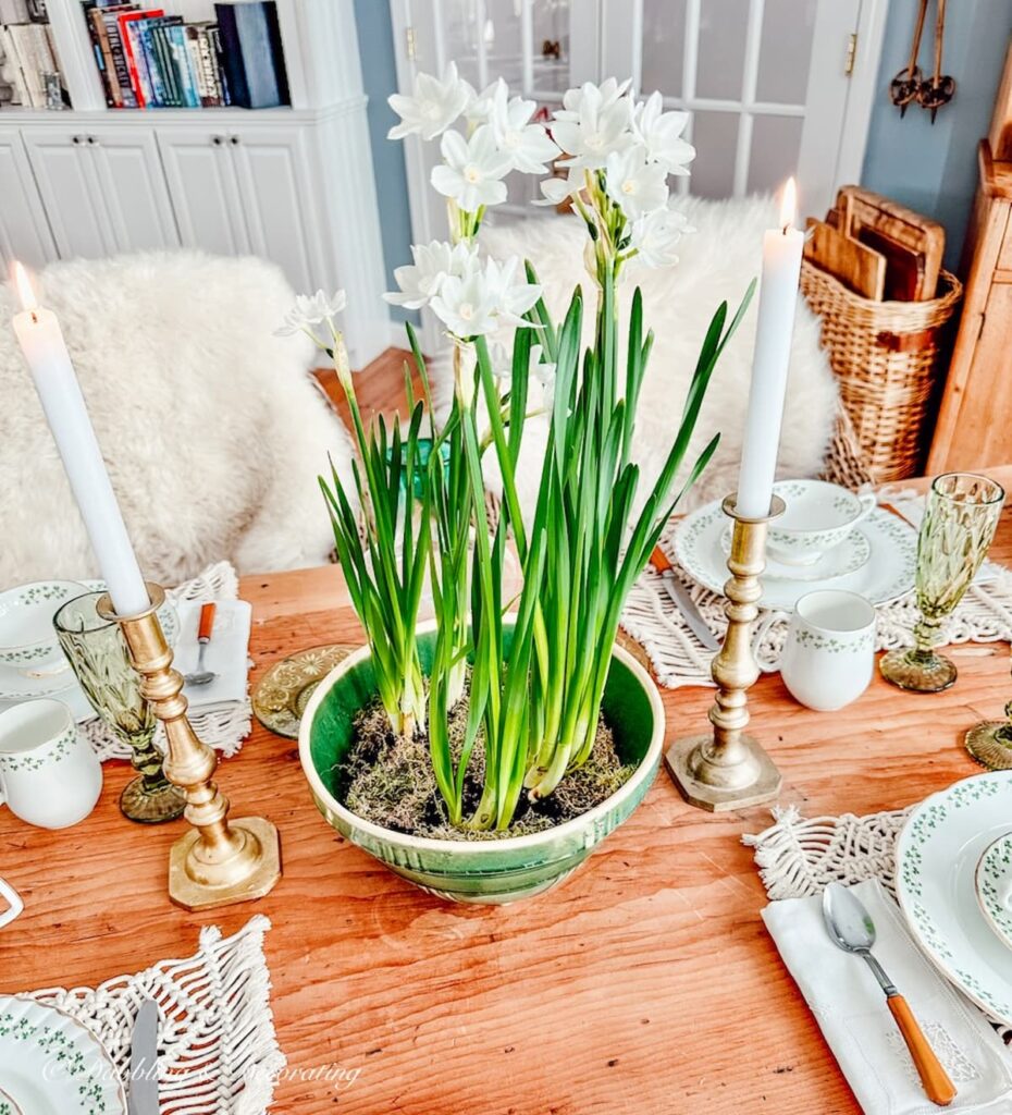 Paperwhites in Green Stoneware Table Centerpiece