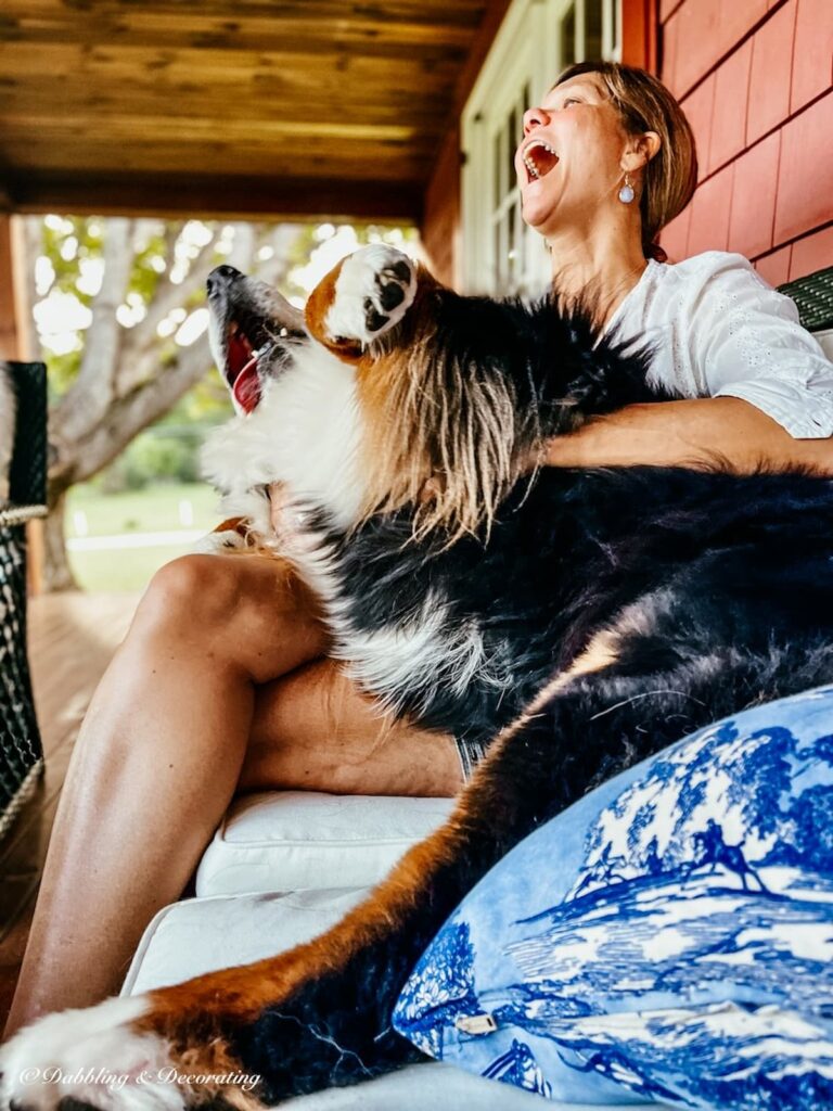 Woman laughing with Bernese Mountain Dog in lap.