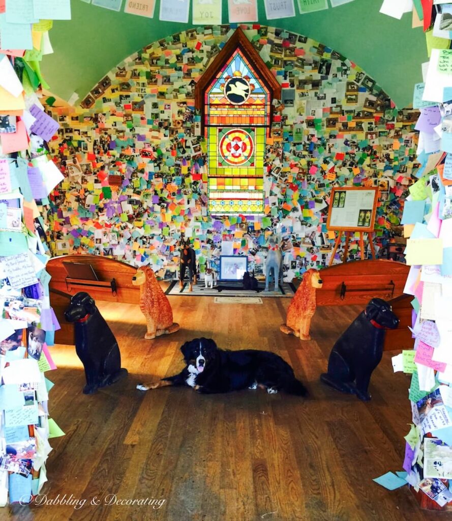 Dog Mountain Chapel and a Bernese Mountain Dog