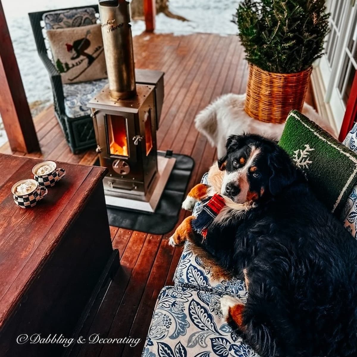 Bernese Mountain Dog Sitting Next to a Wood Pellet Outdoor Heater on Porch.