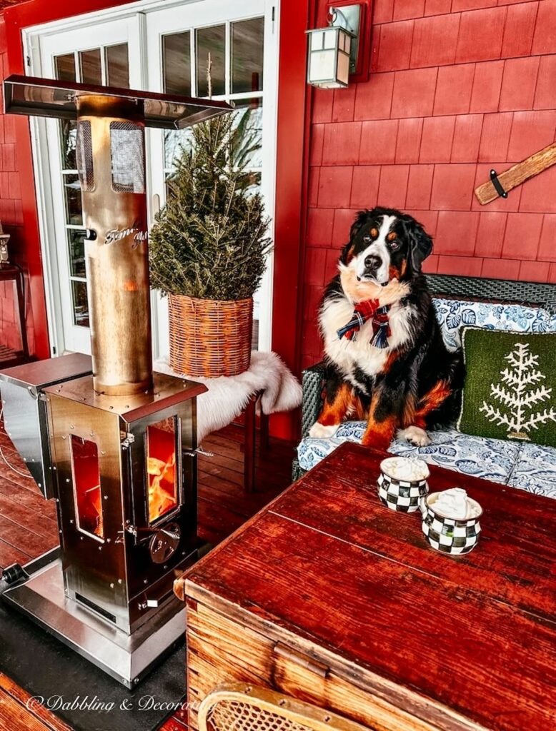 Bernese Mountain Dog sitting next to Big Timber Stove on Porch