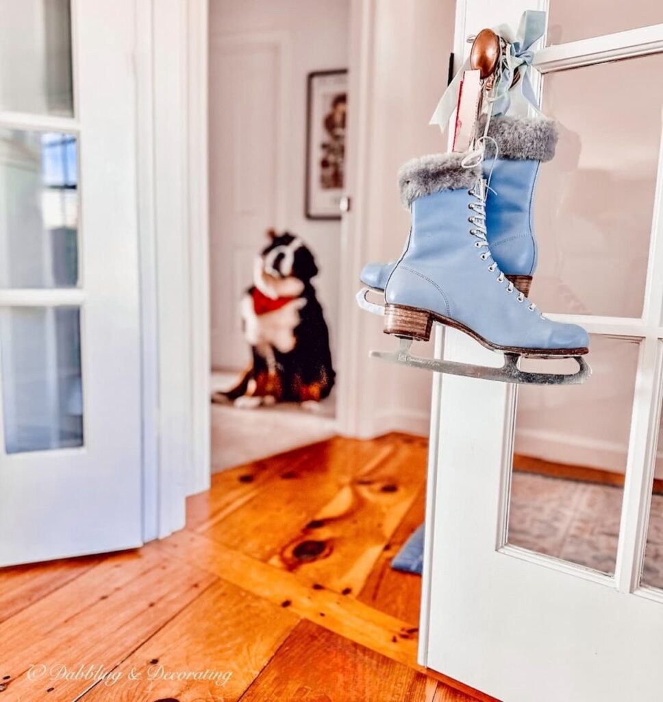 Vintage Blue Ice Skates and Bernese Mountain Dog