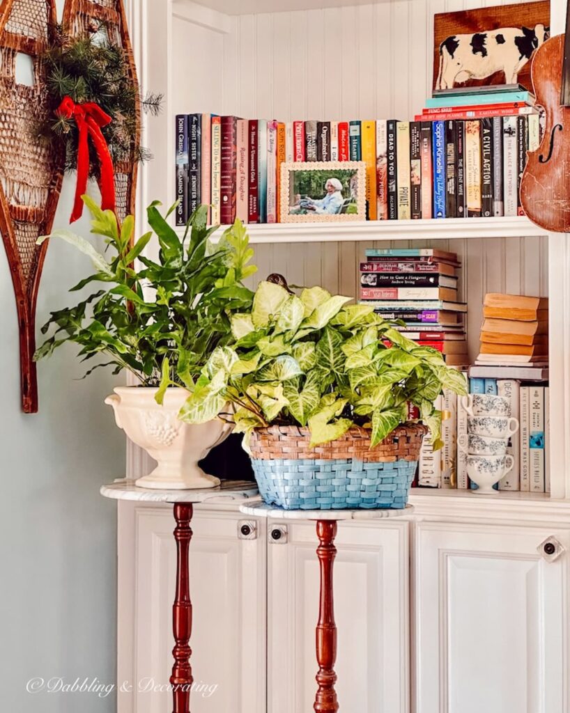 Two plants on plant stands in corner.