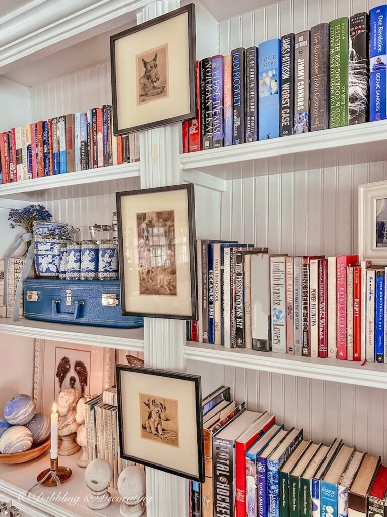 Vintage Styled bookshelves with dog prints and blue suitcases and lots of books.