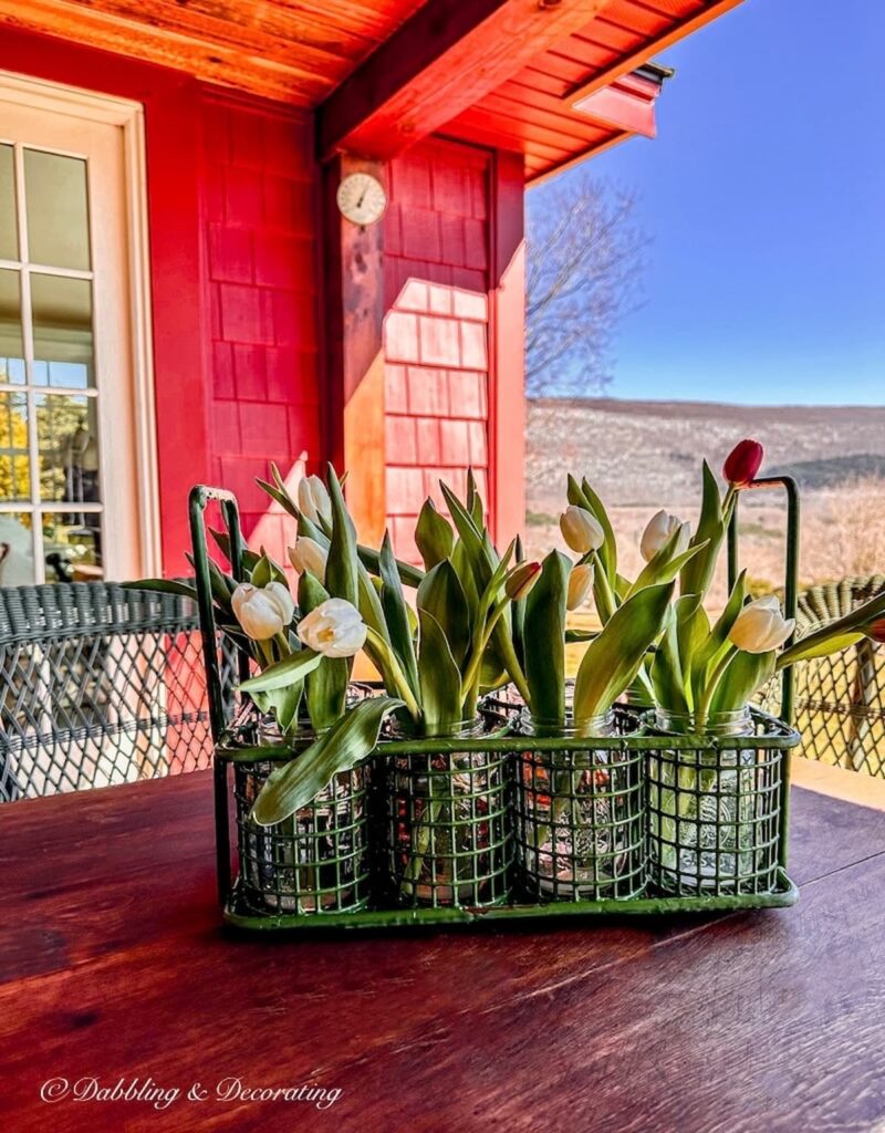 Green antique basket with tulips outdoors