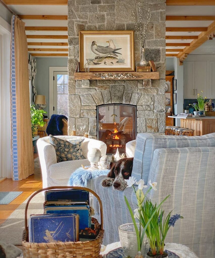 Blue and White Coastal Living Room with Spring Spaniel Dog.