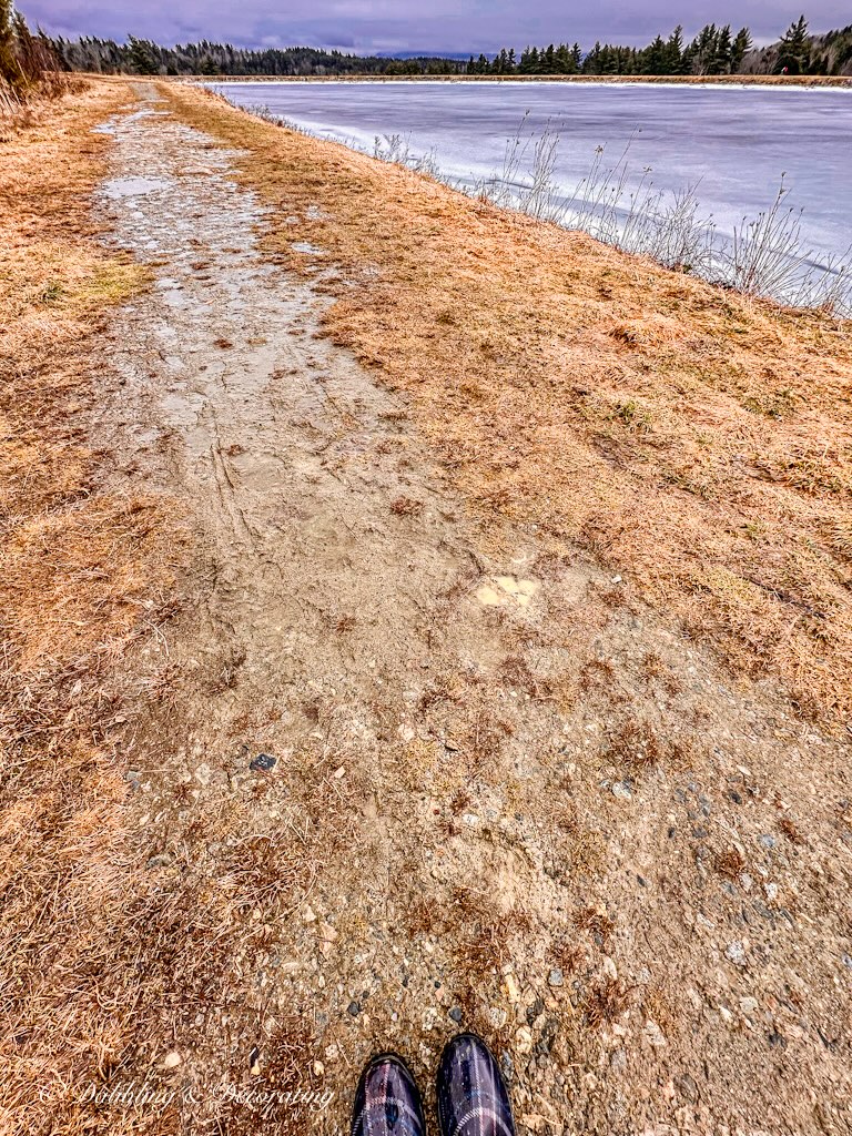 Mud Season at Stratton Pond, Vermont