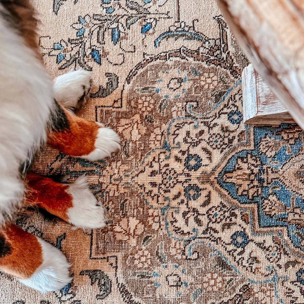 Vintage Turkish Rugs Elevate Your Living Room Design