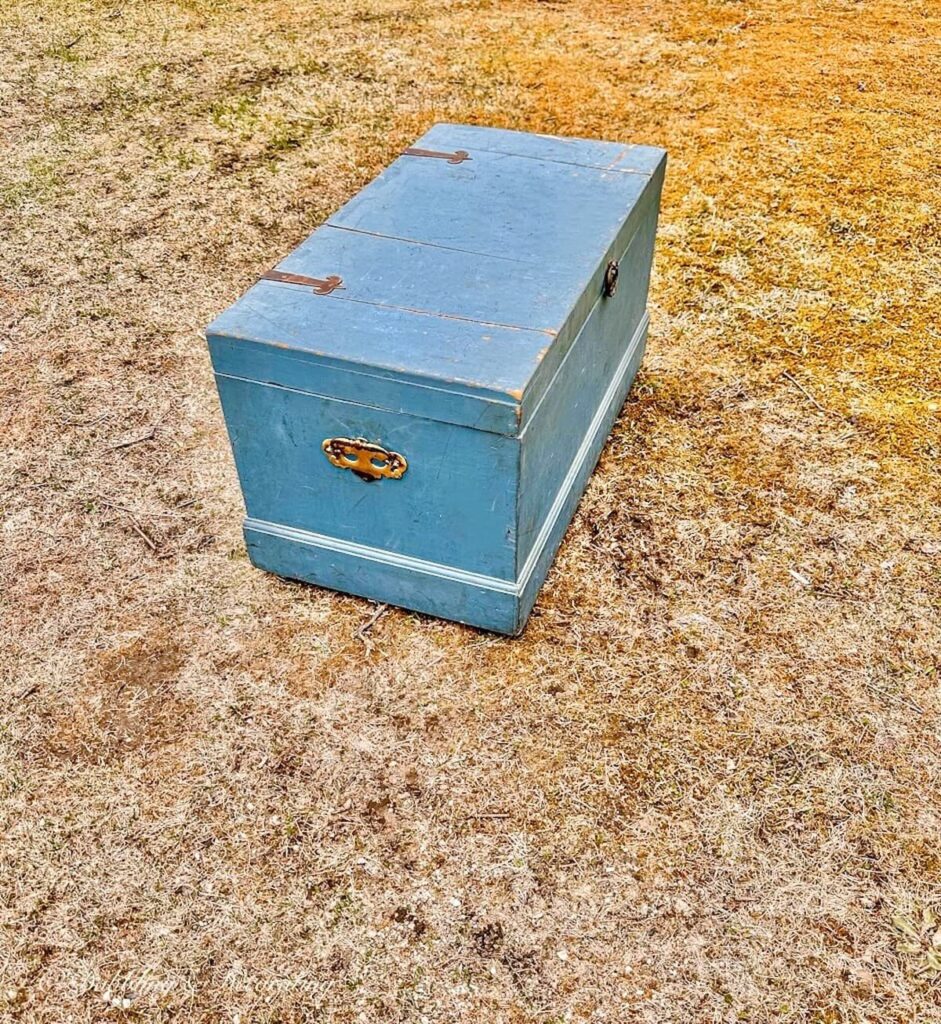 Roadside freebie blue trunk