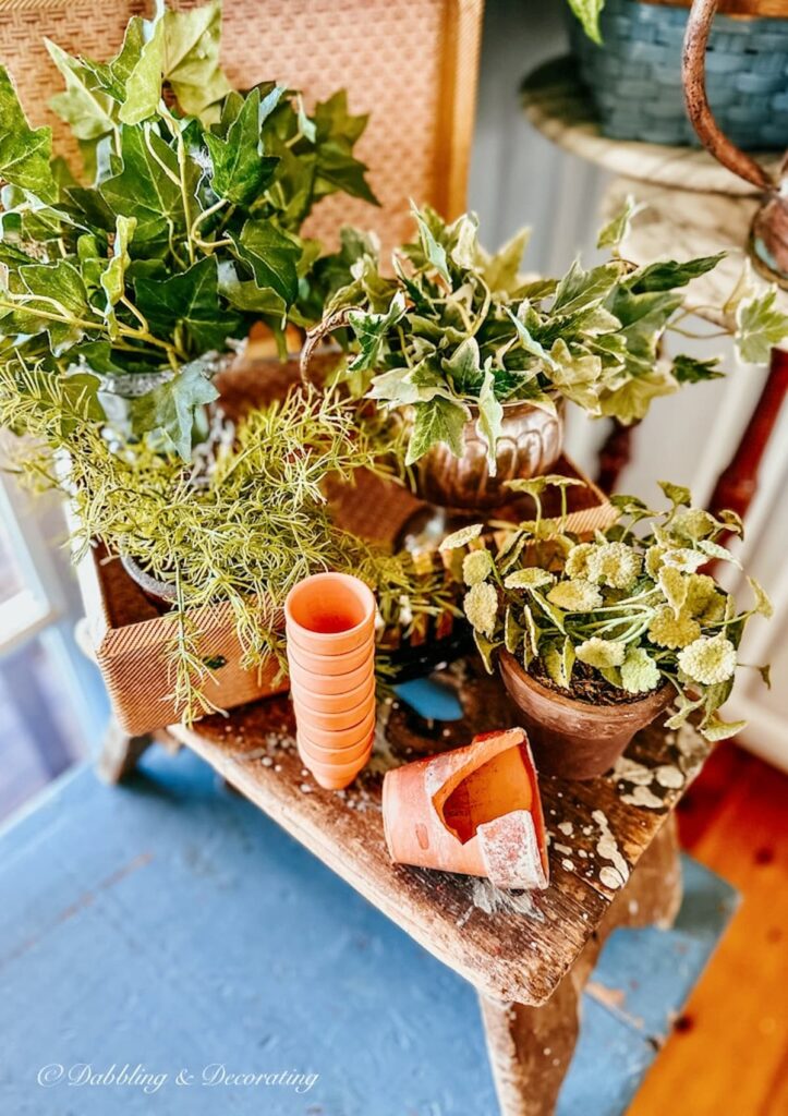 Plant Decor with plans and terracotta pots on blue trunk.