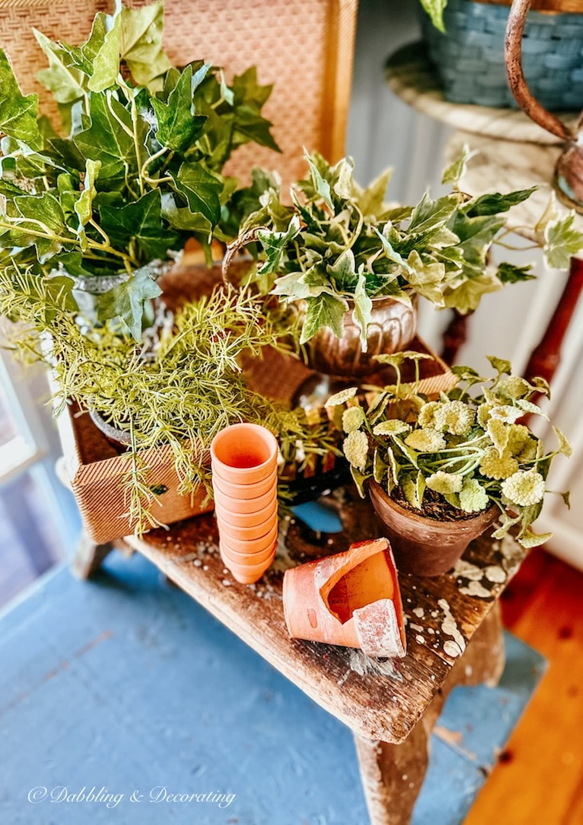 Plant Decor Ideas for a Cozy Living Room Corner