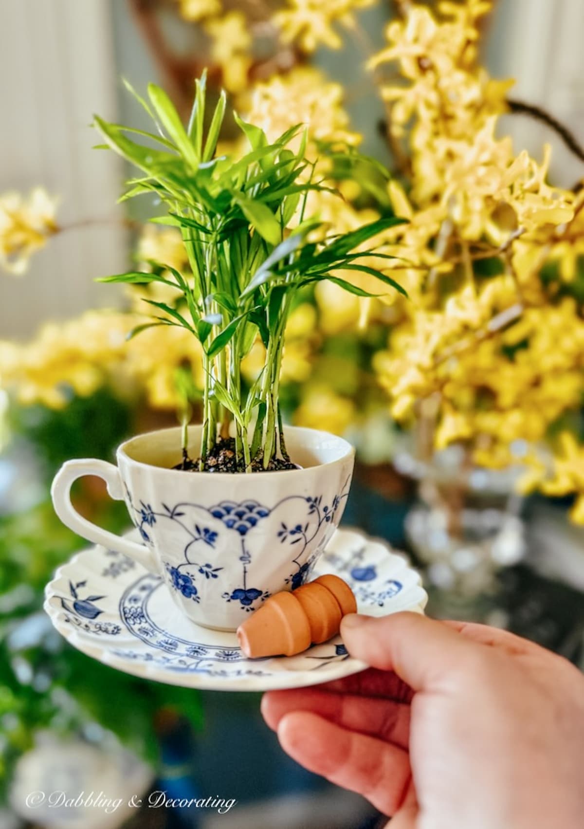 Green Plant Decor in Blue and White Tea Cup with Tiny Terracotta Pots in Hand