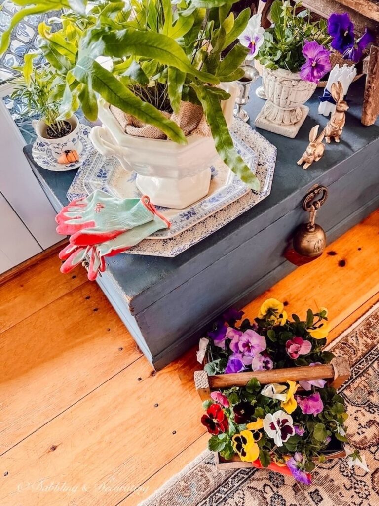 Blue trunk with plant decor in living room.