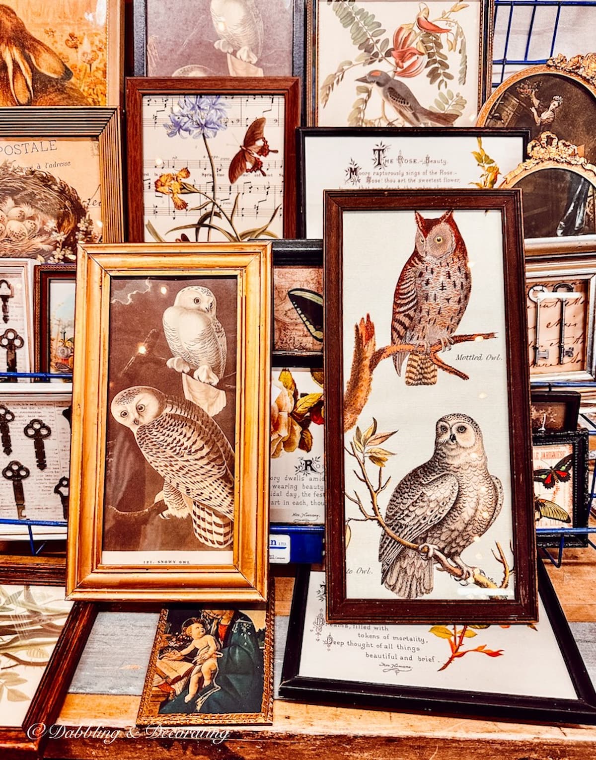 Two Vintage Owl Prints at Vintage Marketplace