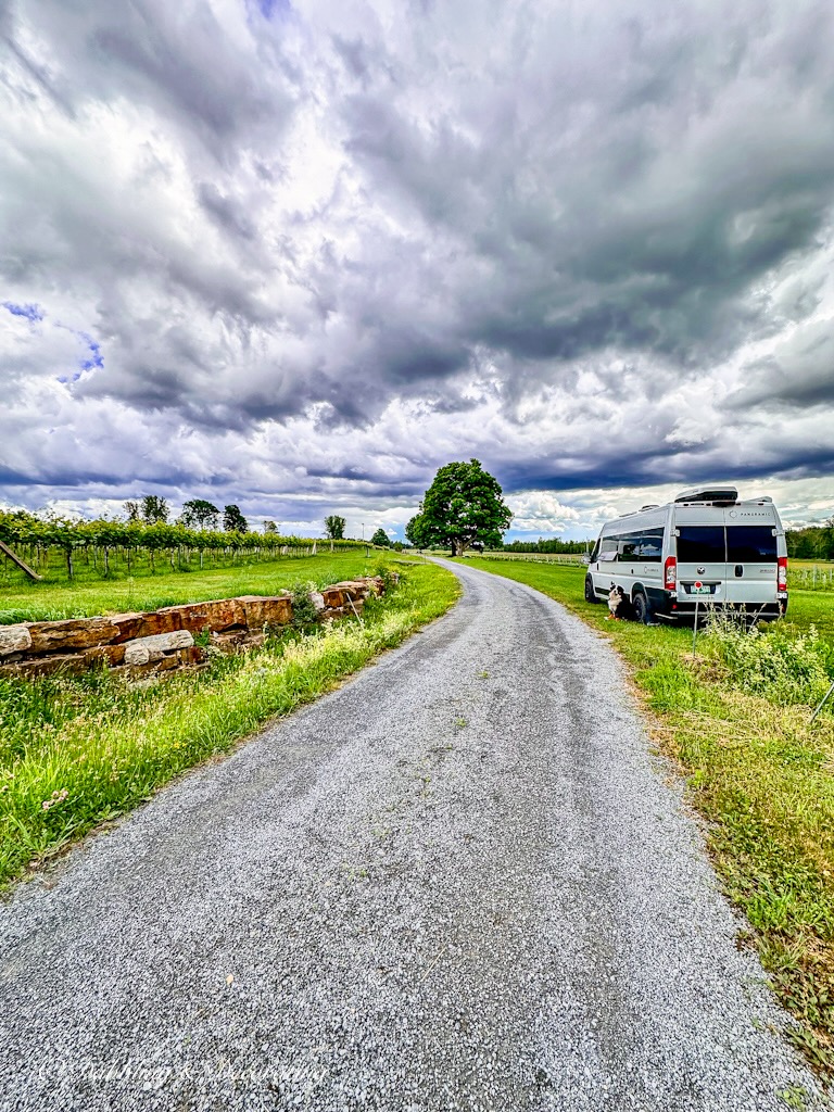 Antiquing Road Trips & RV Decor Series