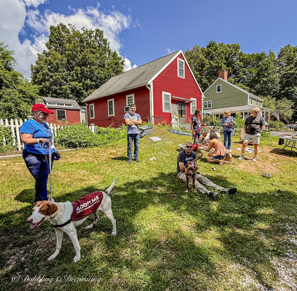 NH SPCA at Sage Farm Antiques with dogs to adopt.