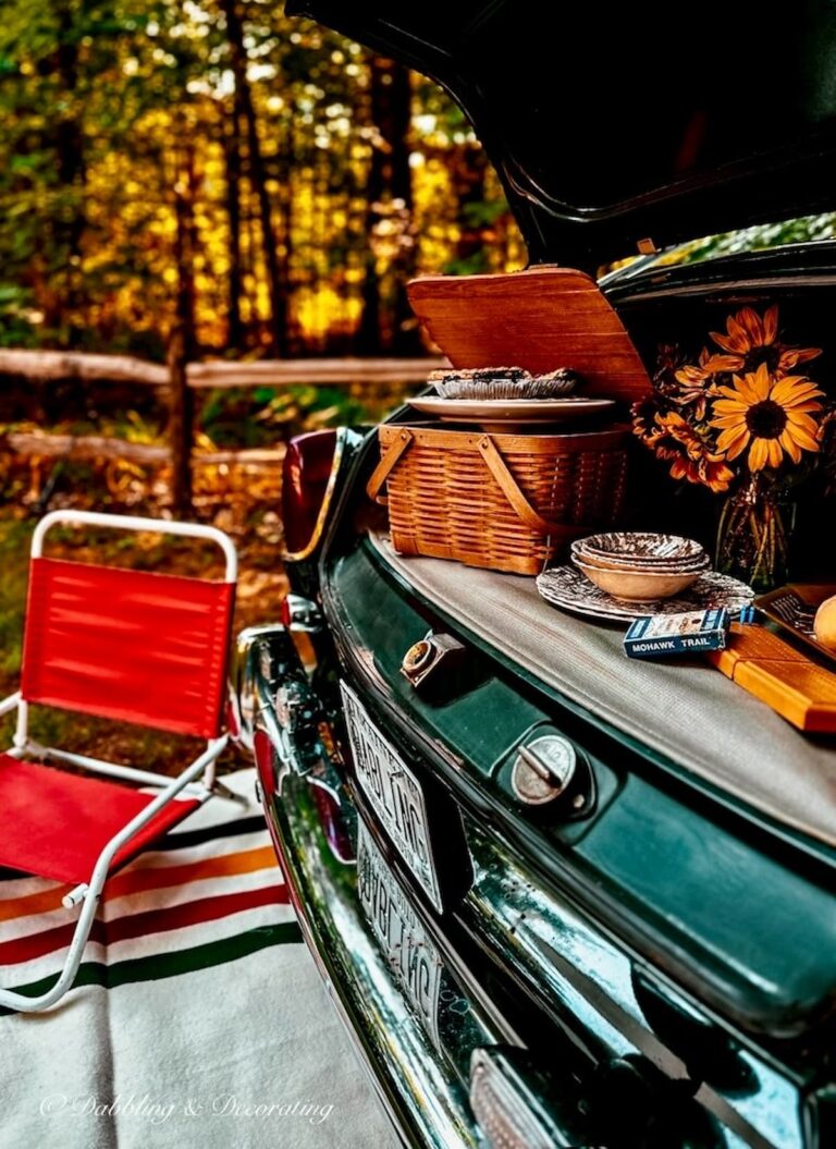 Car Picnic Ideas: How To Create a Charming Backyard Trunk Setup