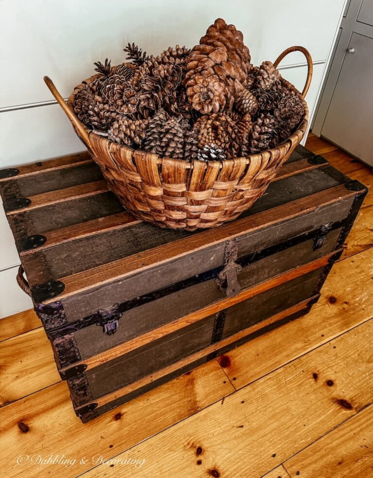 Antique trunk with a large round basket filled with pinecones in an antique styled home.