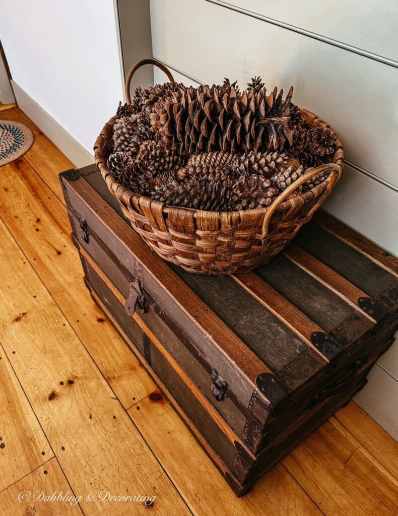 Antique trunk with a large round basket filled with pinecones in an antique styled home.