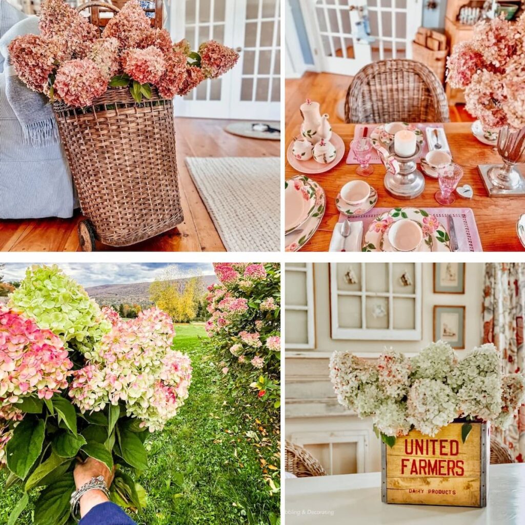 Decorating with Fall Hydrangeas decor: Pink Bloom Styling Ideas for Autumn