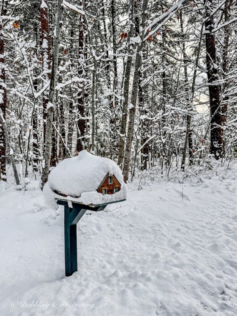 A cedar shake mailbox on an Essex Green mailbox post covered in winter's snow.
