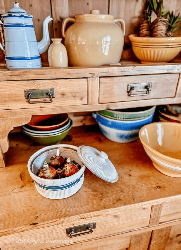 Paperwhite bulbs in vintage stoneware on vintage pine cabinet with blue and yellow stoneware as vintage Christmas decorating ideas.