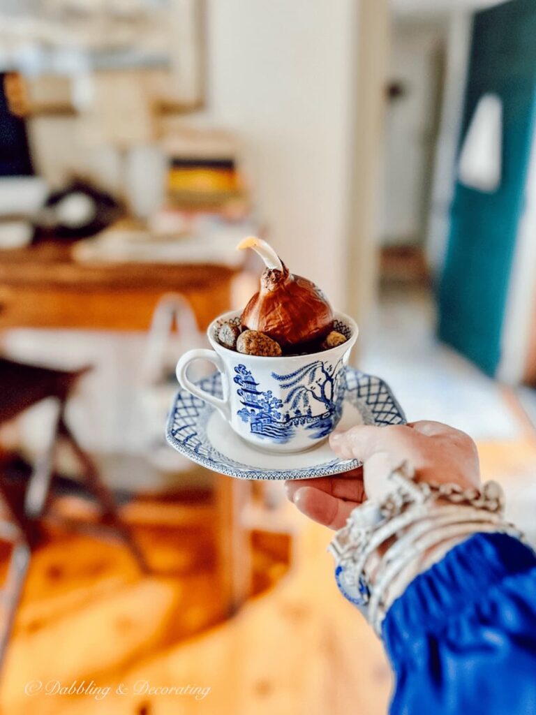 blue and white vintage teacup with paperwhite bulb in hand.