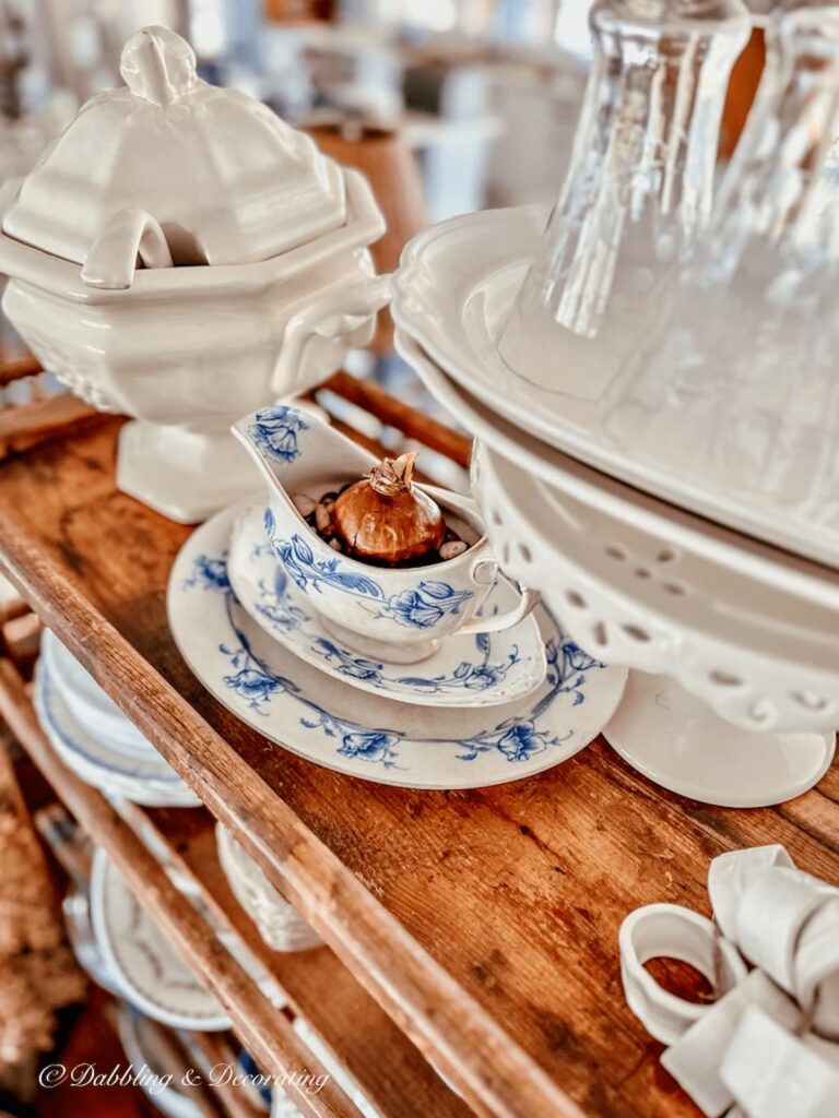 Vintage blue and white gravy bowl with paperwhite growing as vintage Christmas decorations for seasonal paperwhite arrangements.