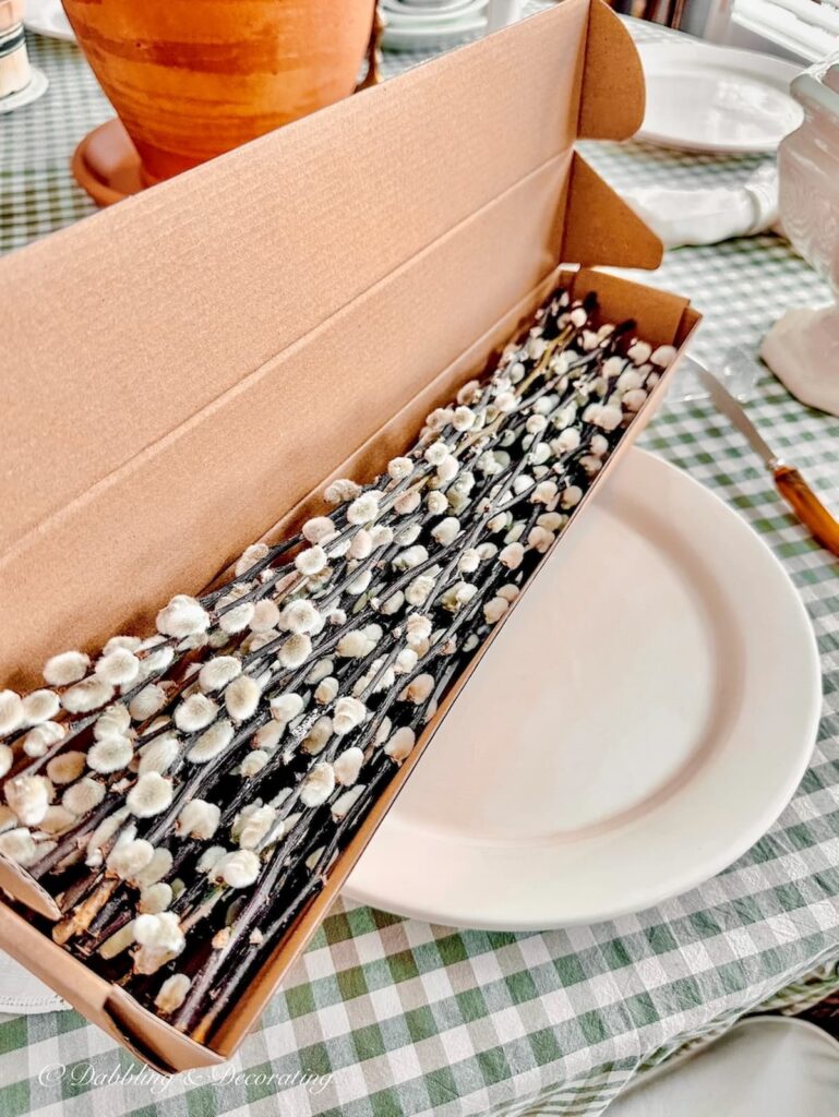Box of pussywillows on table.