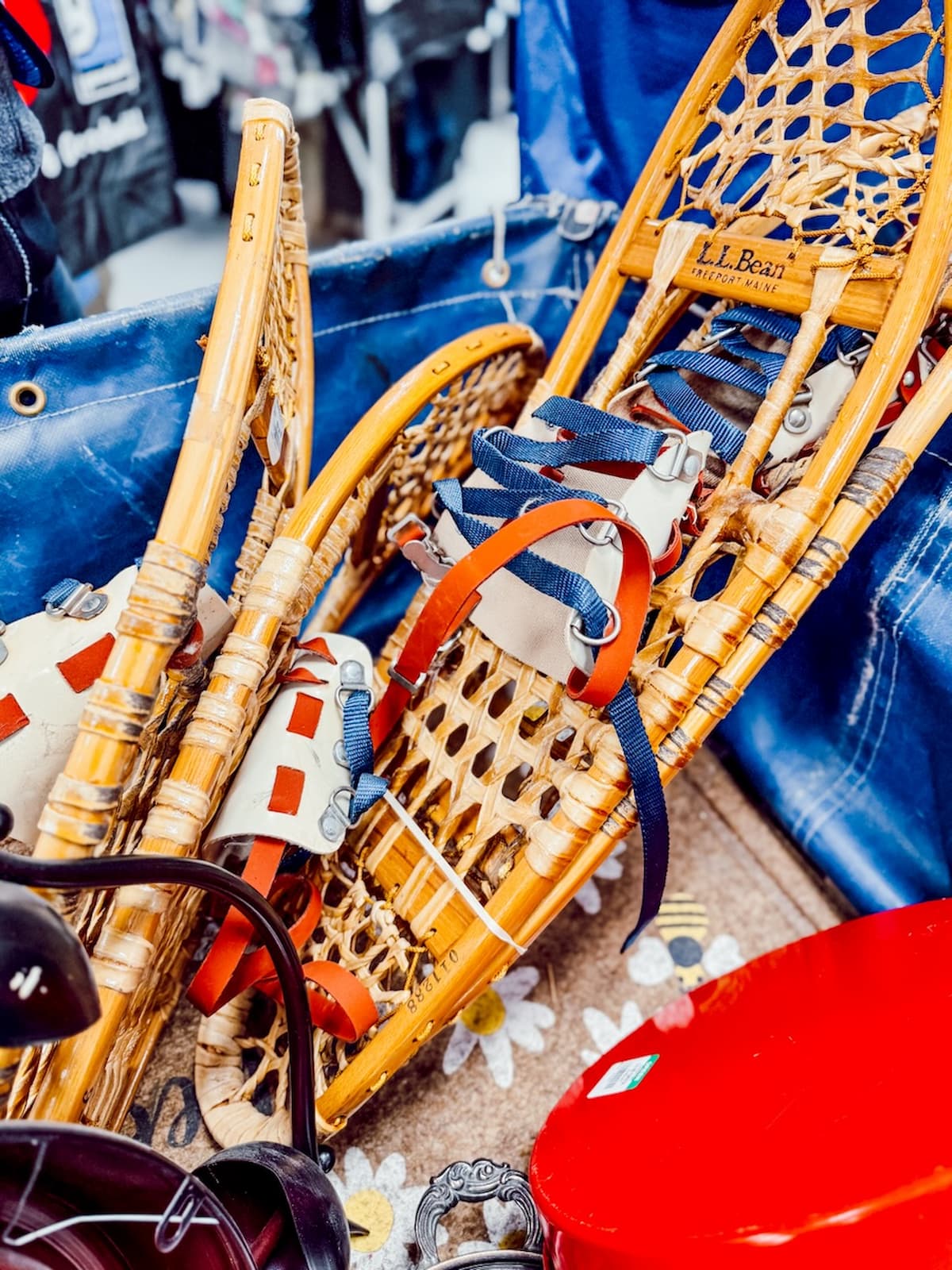 Goodwill home decor bin with LL Bean Snowshoes.
