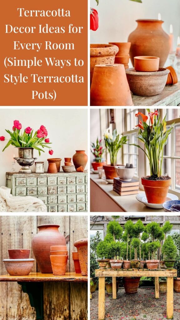 Terracotta Decor Ideas for Every Room (Simple Ways to Style Terracotta Pots) photo collage.