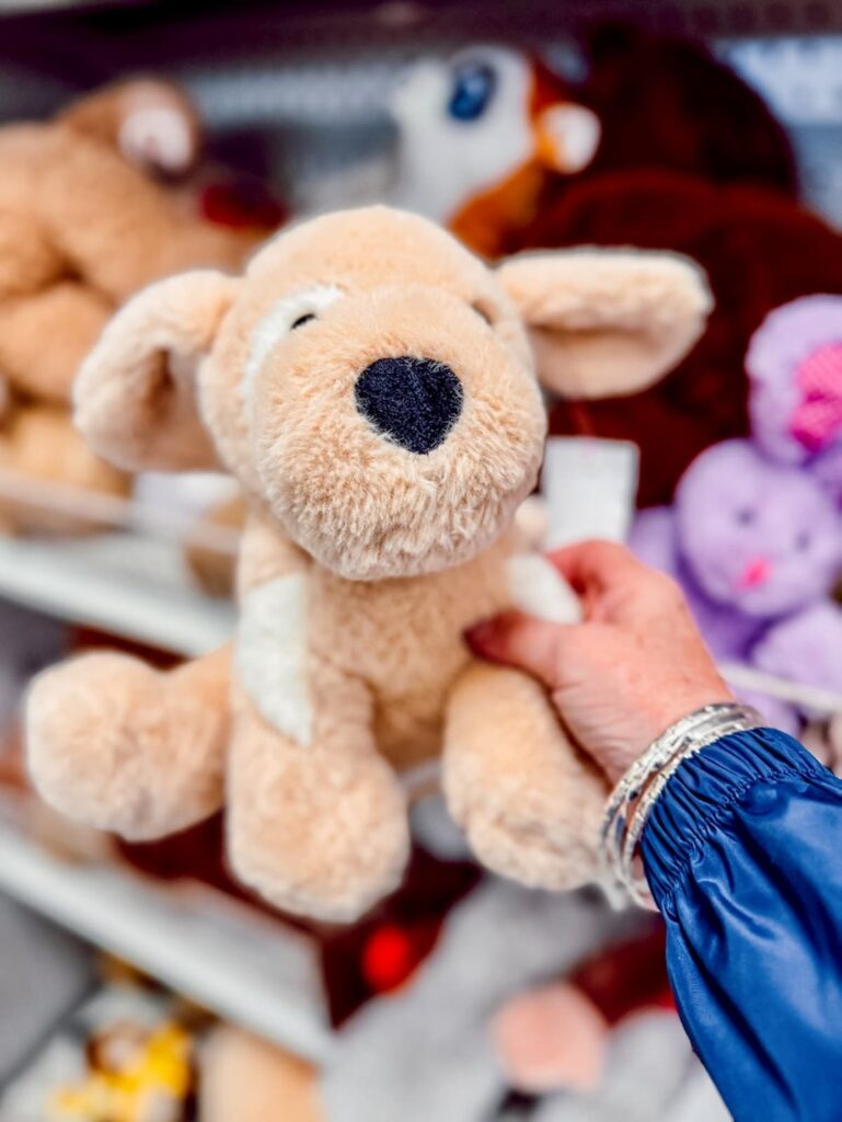Stuffed dog in hand at Goodwill store.