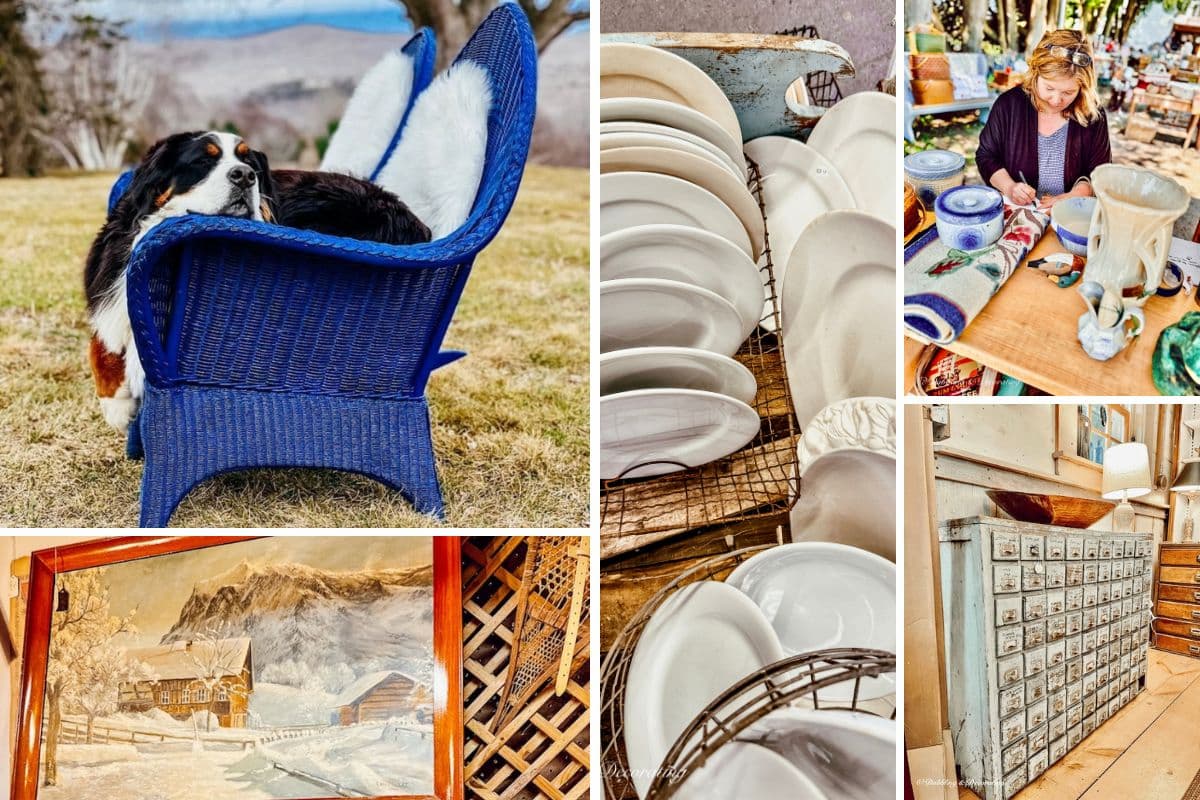 7 Things I’ll Never Thrift Again—and the Vintage Decor I Buy Now Instead