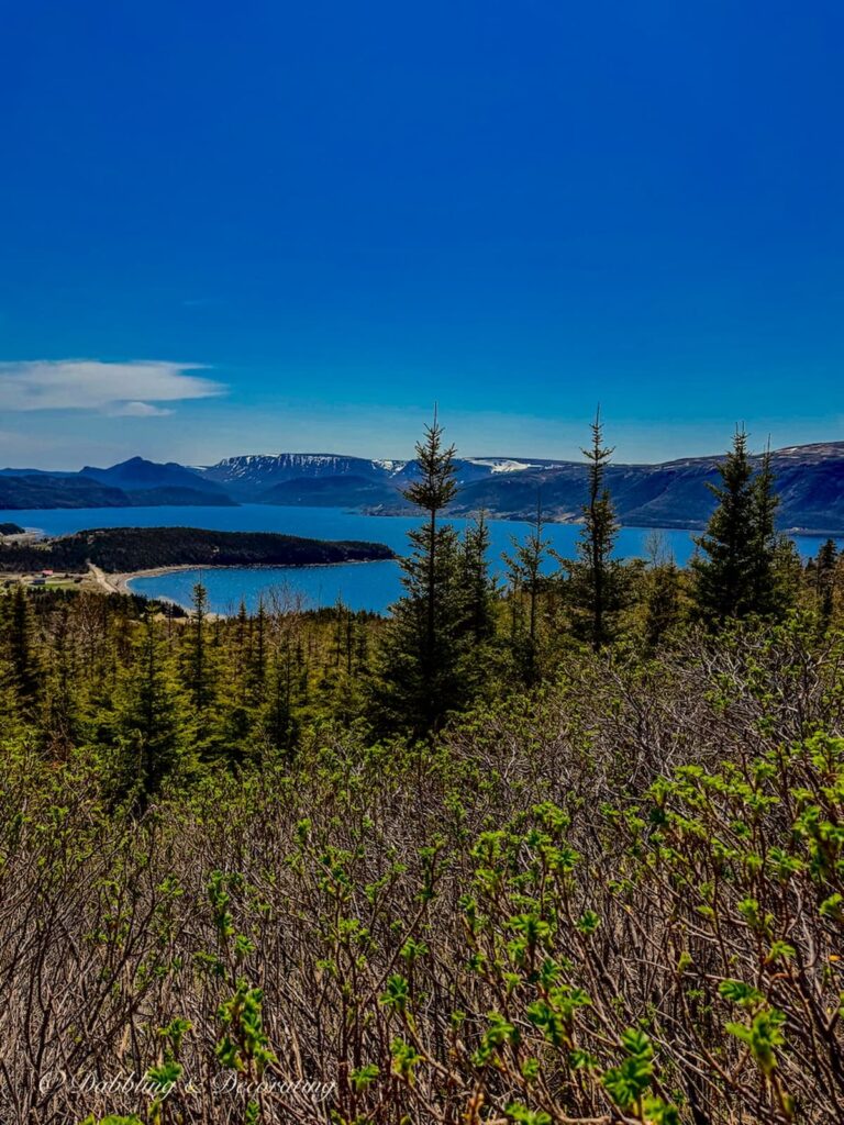 View from Gros Morne National Park in Newfoundland, Canada