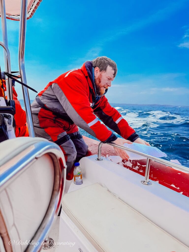 Newfoundland tour guide on boat in the Atlantic pulling up iceberg remnants for us to taste.